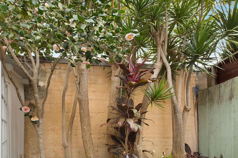 Paddington Garden Cottage With Fast Wifi Sydney Exteriér fotografie